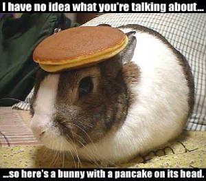 rabbit pancake